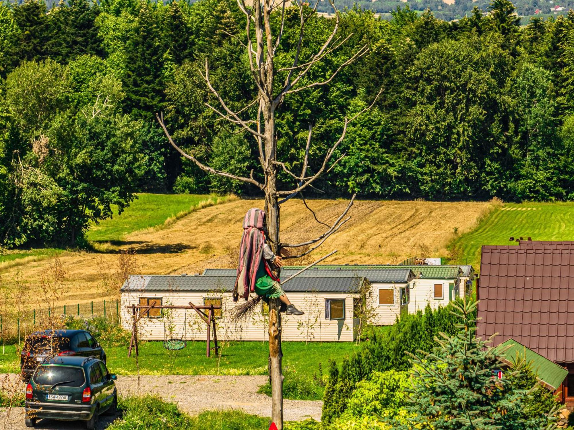 Siedlisko Carownica Family & Wellness Villa Lechów Exteriör bild