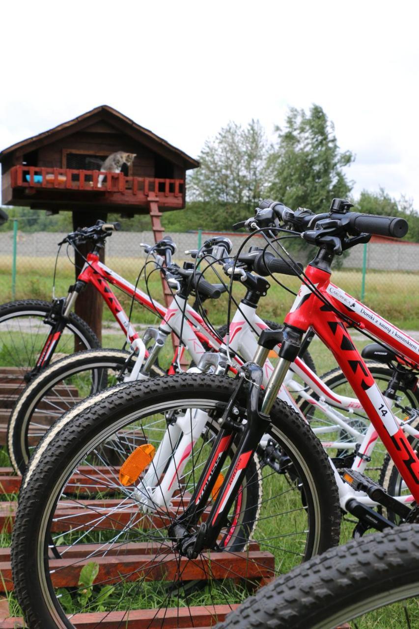 Siedlisko Carownica Family & Wellness Villa Lechów Exteriör bild